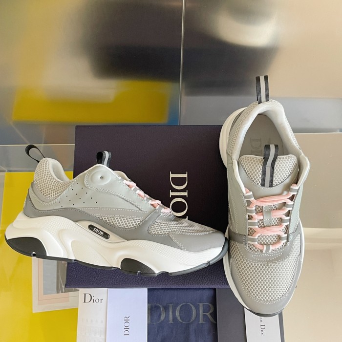 Dior B22 Grey White