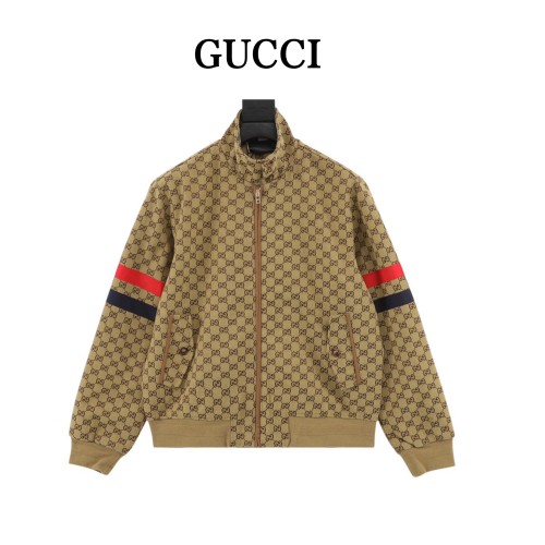 Clothes Gucci 119