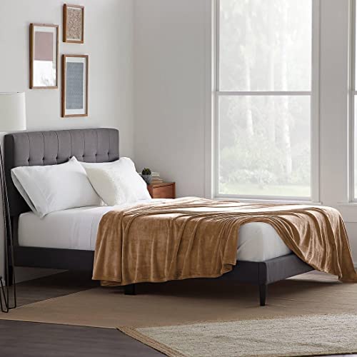 Lightweight Cozy Plush Microfiber Bedspreads for Adults,60 by 80-Inch,Black Zebra FY FIBER HOUSE Flannel Fleece Throw Blanket