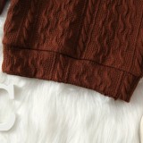 Kids Boy Spring Brown Turndown Collar Basics Knitting Top