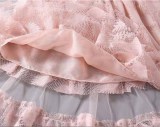 Kids Girl Summer Pink Layered Mesh Skirt
