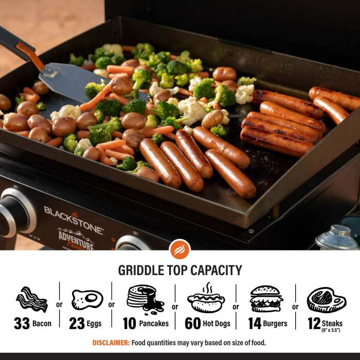 Blackstone Adventure Ready 22 Griddle with Stand and Adapter Hose