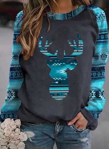 Women's Aztec print Sweatshirts Crew Neck Long Sleeve Geometric Color Block Daily Sweatshirts