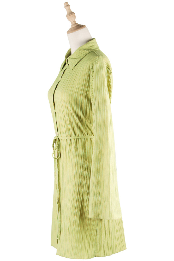 Women's Dress Lapel Solid Color Flared Long Sleeves Single-Breasted H Line Mini Dress