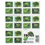 Frogs 2019 - 5 Booklets / 100 Pcs