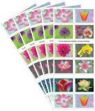 Garden Beauty 2021 - 5 Booklets / 100 Pcs
