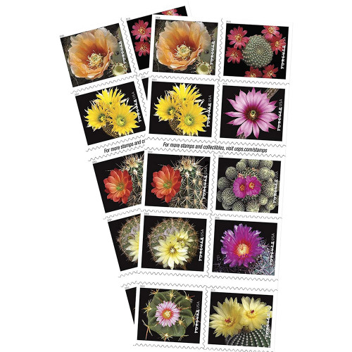 Cactus Flowers 2019 - 5 Booklets / 100 Pcs