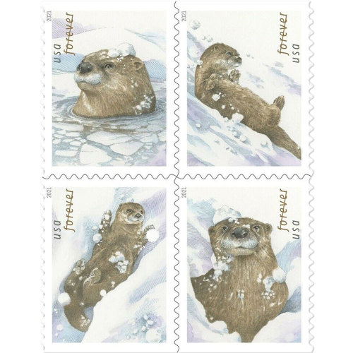 Otters in Snow 2021 - 5 Booklets / 100 Pcs