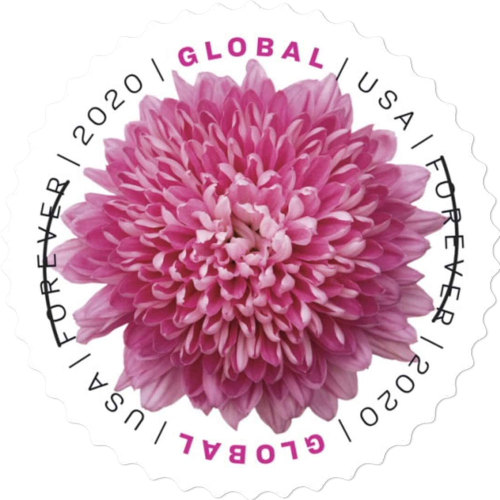 Global Chrysanthemum 2020 - 10 Sheets / 100 Pcs
