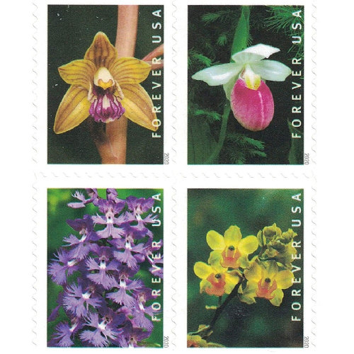 Wild Orchids 2020 - 5 Booklets / 100 Pcs