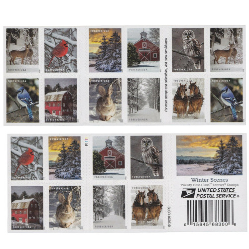 Winter Scenes 2020 - 5 Booklets / 100 Pcs