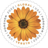 Global African Daisy 2022 - 10 Sheets / 100 Pcs