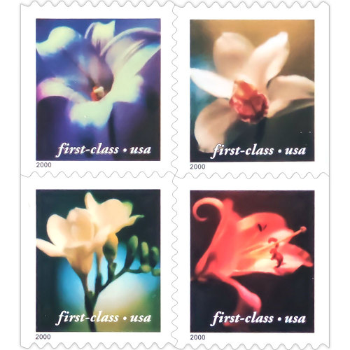 4 Flowers 2000 - 5 Sheets / 100 Pcs