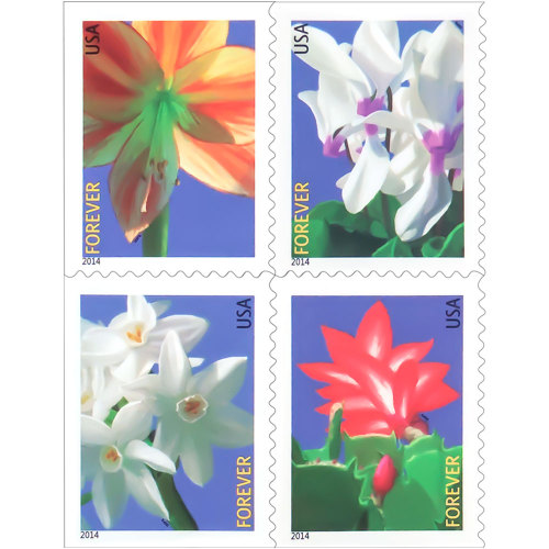 Winter flowers 2014- 5 Sheets / 100 Pcs