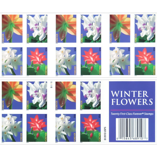 Winter flowers 2014- 5 Sheets / 100 Pcs