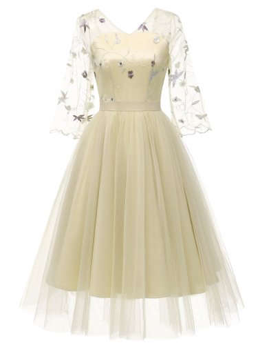 1950s Lace Embroidery Mesh Chiffon Dress