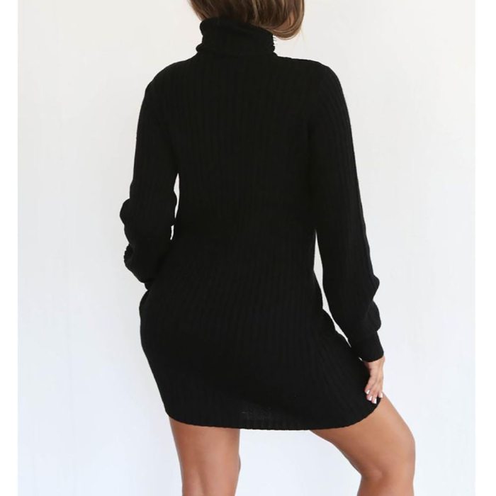 Womens Casual Long Sleeve Jumper Turtleneck Sweaters Dress