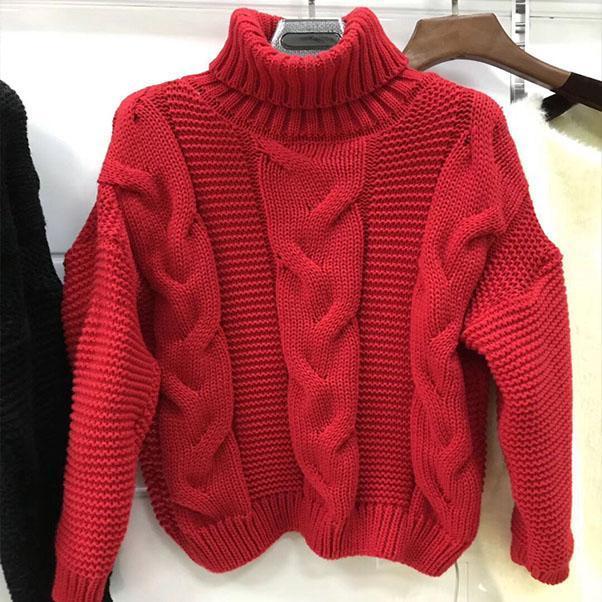 Turtleneck Cable Knitted Chunky Sweater