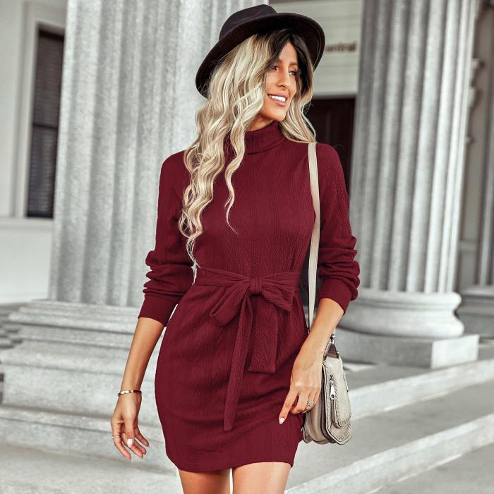 High Neck Tie Slim Fit Solid Knit Long Sleeve Mini Dresses