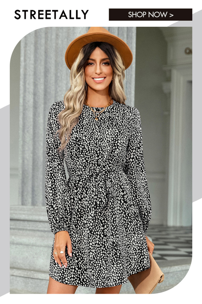 Tie Leopard Fashion Crew Neck Print Long Sleeve Casual Dresses