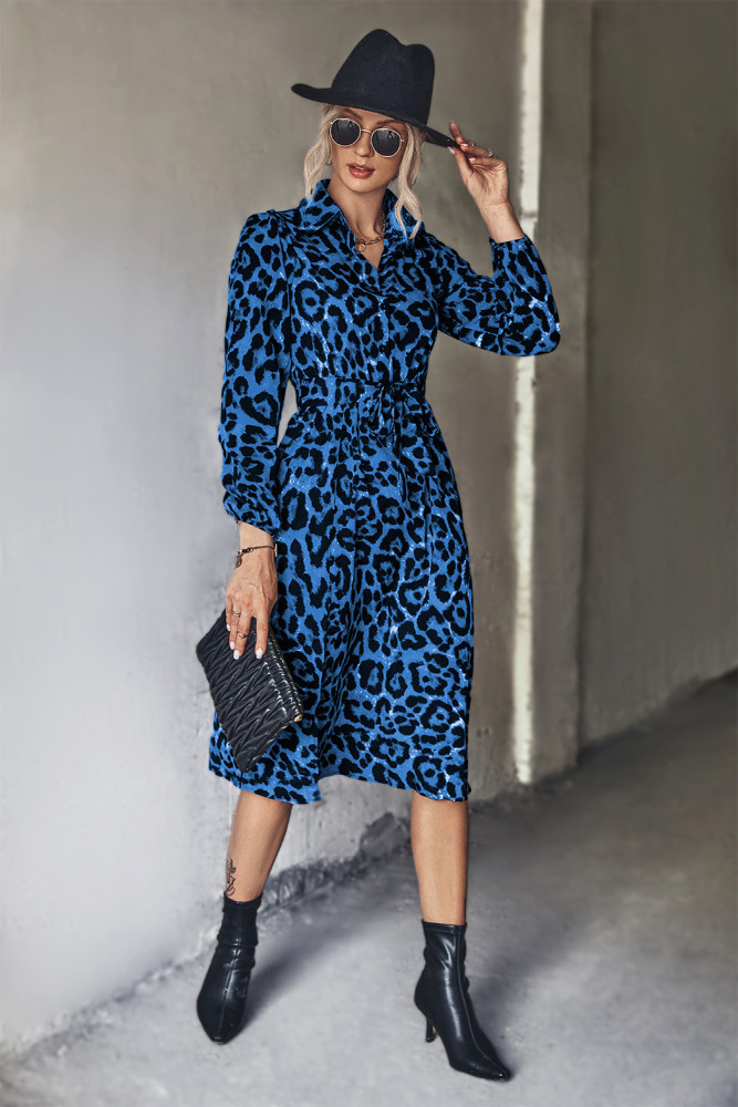 Classic Sexy Leopard Print Long Sleeve Slit V Neck Midi Dresses