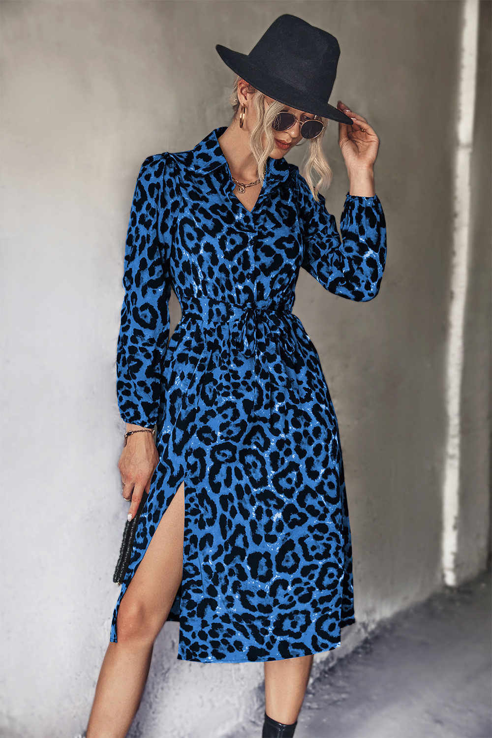 Sexy V-neck leopard print long-sleeved chiffon dress main image 1
