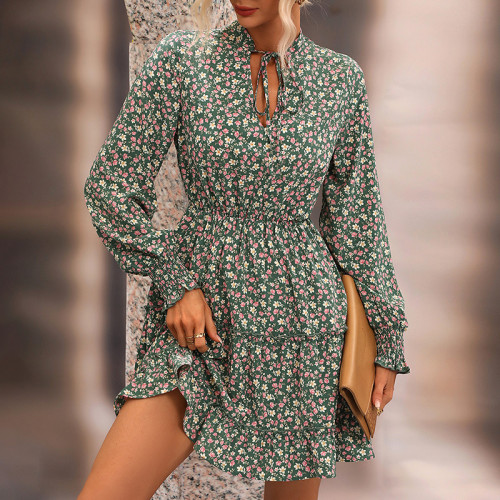 Elegant Printed Long Sleeve Neck Waist Floral V-Neck Casual Dresses