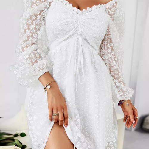 Elegant Long Sleeve Mini Dress