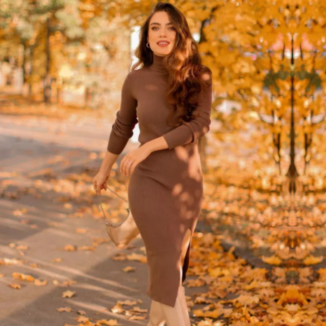 Long Sleeve Turtleneck Elastic Midi Sweater Dress