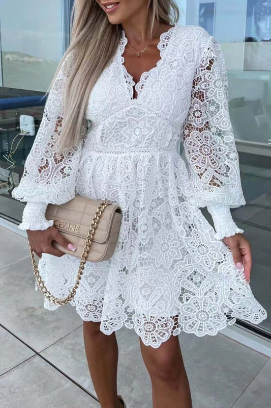 Sexy Solid Lace Embroidered V Neck A Line Dresses(3 Colors)