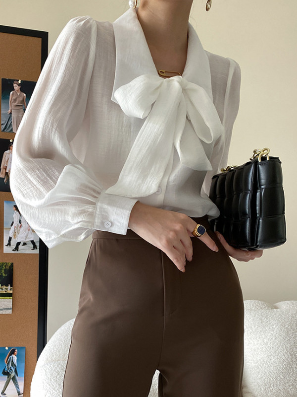 Urban Loose Long Sleeves Solid Color Lapel Collar Blouses