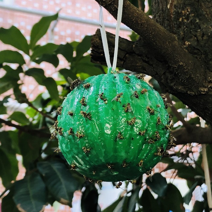 6pcs Large-Coverage Fly Trap - Captures Flies, Mosquitoes, and Other Insects - Effective Insect-Control for Home, Garden, and Farm - Durable PP Material