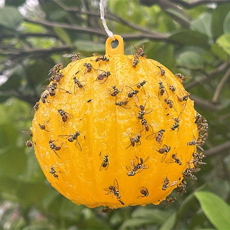 6pcs Large-Coverage Fly Trap - Captures Flies, Mosquitoes, and Other Insects - Effective Insect-Control for Home, Garden, and Farm - Durable PP Material