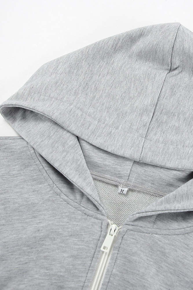 Casual Sportswear Solid Color Zipper Hooded Long Sleeve Two Pieces