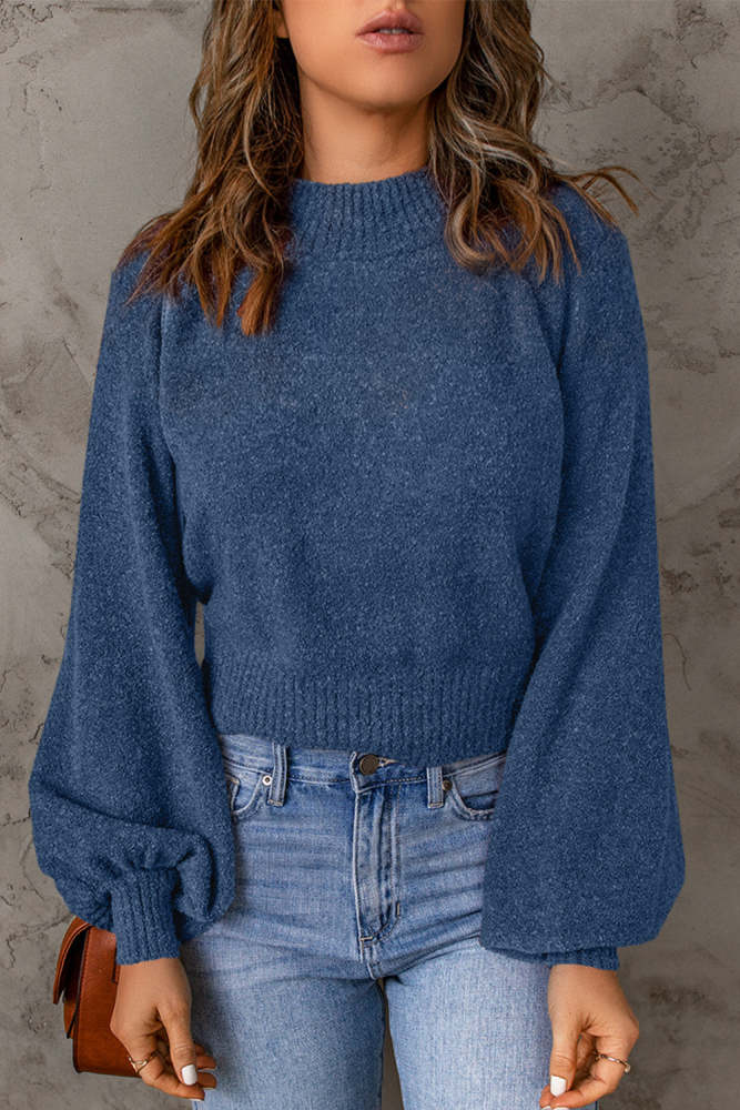 Women's Sweater Ribbed Trim Balloon Sleeve Sweater