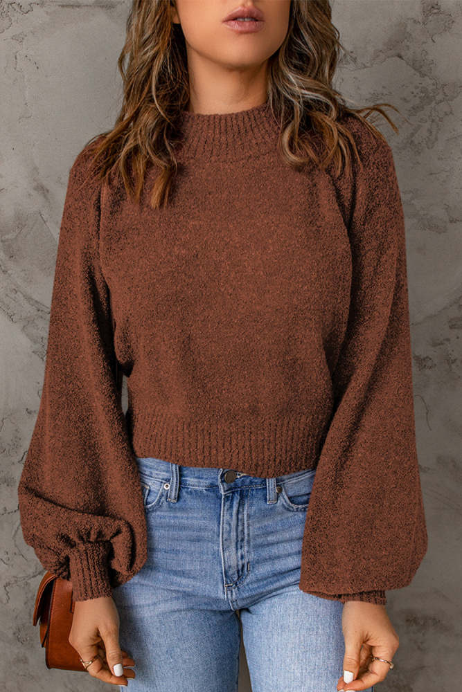 Women's Sweater Ribbed Trim Balloon Sleeve Sweater