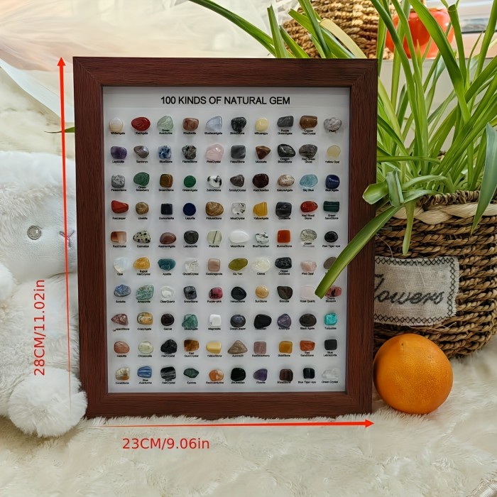 100 Mineral Species Display 100 Mineral Species | 10-Inch Natural Minerals Display Geological Home Decor |Premium Holiday Gift