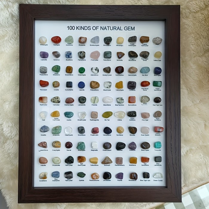 100 Mineral Species Display 100 Mineral Species | 10-Inch Natural Minerals Display Geological Home Decor |Premium Holiday Gift