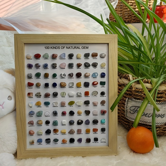 100 Mineral Species Display 100 Mineral Species | 10-Inch Natural Minerals Display Geological Home Decor |Premium Holiday Gift