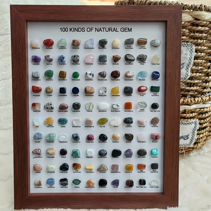 100 Mineral Species Display 100 Mineral Species | 10-Inch Natural Minerals Display Geological Home Decor |Premium Holiday Gift