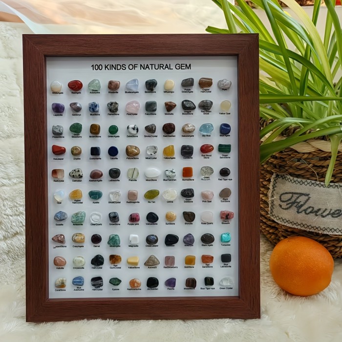 100 Mineral Species Display 100 Mineral Species | 10-Inch Natural Minerals Display Geological Home Decor |Premium Holiday Gift