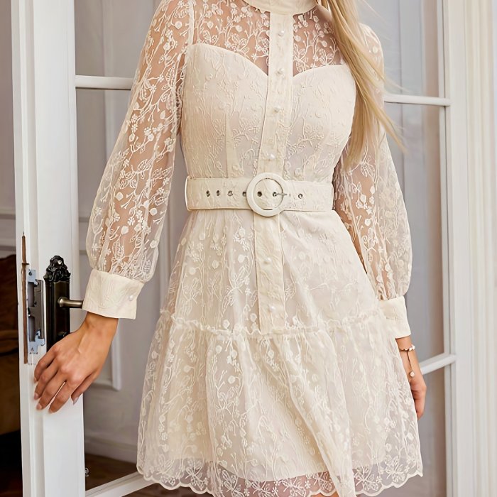 Elegant Sheer Long Sleeve Embroidered Mesh Dress