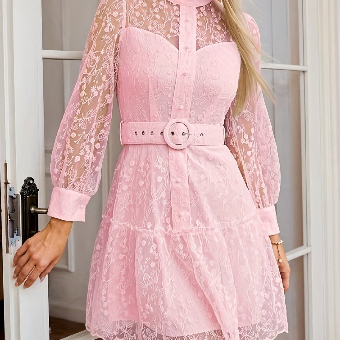 Elegant Sheer Long Sleeve Embroidered Mesh Dress