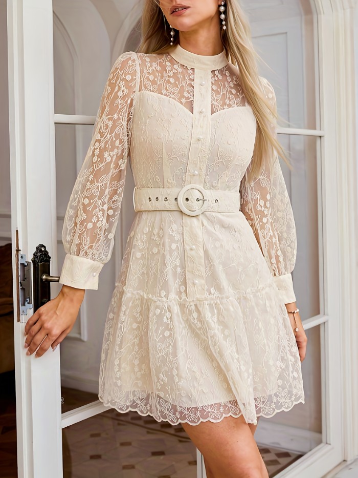 Elegant Sheer Long Sleeve Embroidered Mesh Dress