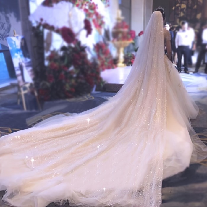 Starry Night Sparkle Bridal Veil with Long Tail - Romantic Wedding Accessory for Women