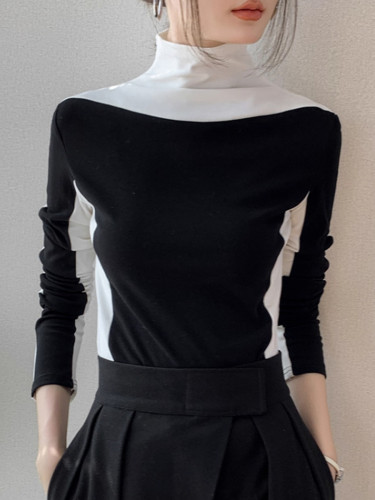 Women'S Elegant Turtleneck Long Sleeve Shirt Top