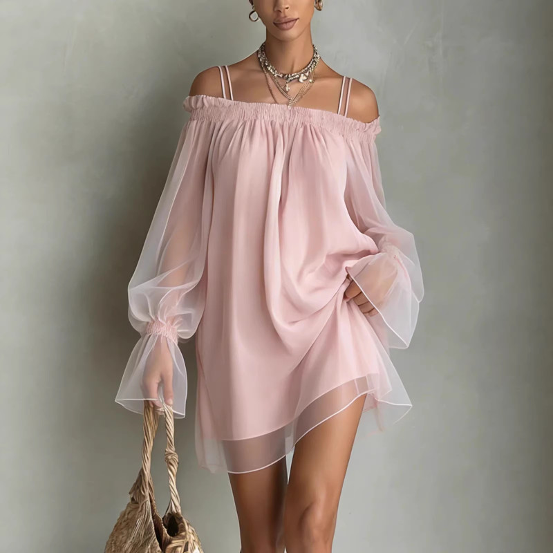 Summer Sheer Mesh Long Sleeve Loose Women Dress👗