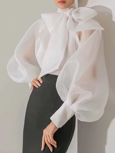 ✨Elegant Mesh Puff Sleeve Blouse🎀
