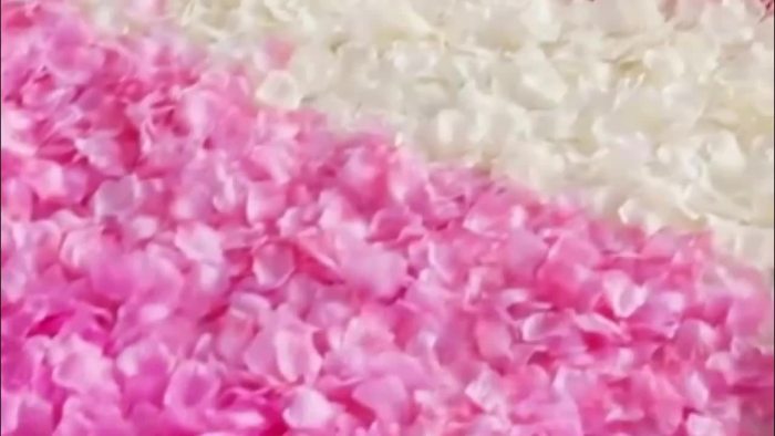 1008pcs\u002Fbag Artificial Petals | Wedding Roses, Fake Flower Roses for Engagement Proposal and Valentine'S Day, Plastic Material, Non