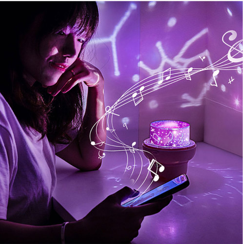 3 In 1 Cute Pet Starry Sky Night Light